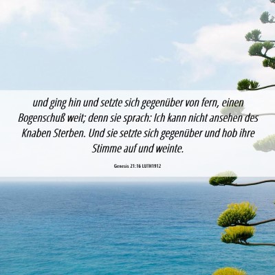 Picture 06 - Genesis 21:16 LUTH1912 - und ging hin und setzte sich gegenüber von fern, - Bible Verse Picture