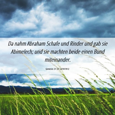 Picture 06 - Genesis 21:27 LUTH1912 - Da nahm Abraham Schafe und Rinder und gab sie - Bible Verse Picture
