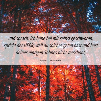 Picture 06 - Genesis 22:16 LUTH1912 - und sprach: Ich habe bei mir selbst geschworen, - Bible Verse Picture