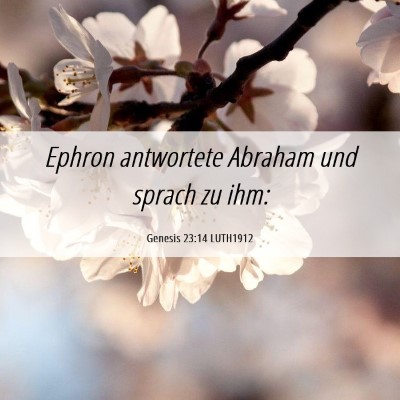 Picture 06 - Genesis 23:14 LUTH1912 - Ephron antwortete Abraham und sprach zu - Bible Verse Picture