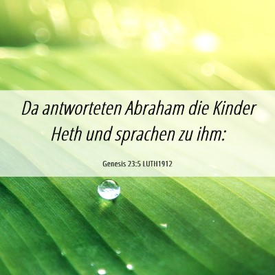 Picture 06 - Genesis 23:5 LUTH1912 - Da antworteten Abraham die Kinder Heth und - Bible Verse Picture