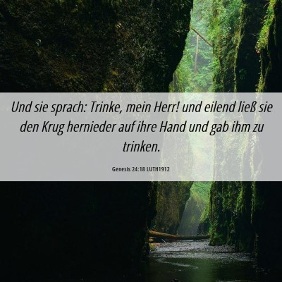 Picture 06 - Genesis 24:18 LUTH1912 - Und sie sprach: Trinke, mein Herr! und eilend - Bible Verse Picture