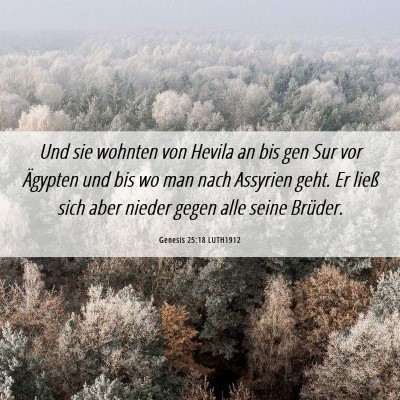 Picture 06 - Genesis 25:18 LUTH1912 - Und sie wohnten von Hevila an bis gen Sur vor - Bible Verse Picture