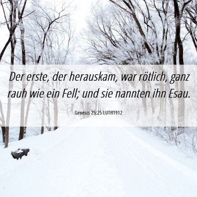 Picture 06 - Genesis 25:25 LUTH1912 - Der erste, der herauskam, war rötlich, ganz rauh - Bible Verse Picture