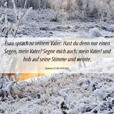 Picture 06 - Genesis 27:38 LUTH1912 - Esau sprach zu seinem Vater: Hast du denn nur - Bible Verse Picture