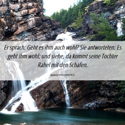 Picture 06 - Genesis 29:6 LUTH1912 - Er sprach: Geht es ihm auch wohl? Sie - Bible Verse Picture