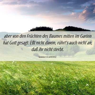 Picture 06 - Genesis 3:3 LUTH1912 - aber von den Früchten des Baumes mitten im - Bible Verse Picture