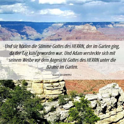 Picture 06 - Genesis 3:8 LUTH1912 - Und sie hörten die Stimme Gottes des HERRN, der - Bible Verse Picture