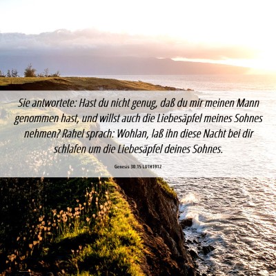 Picture 06 - Genesis 30:15 LUTH1912 - Sie antwortete: Hast du nicht genug, daß du mir - Bible Verse Picture