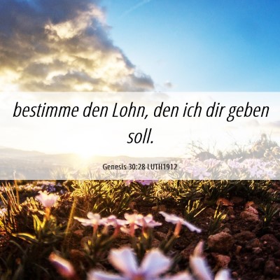 Picture 06 - Genesis 30:28 LUTH1912 - bestimme den Lohn, den ich dir geben - Bible Verse Picture