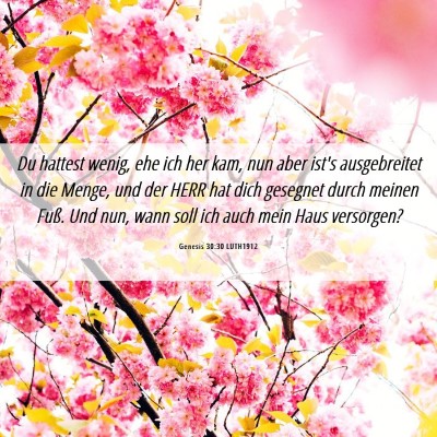 Picture 06 - Genesis 30:30 LUTH1912 - Du hattest wenig, ehe ich her kam, nun aber ist's - Bible Verse Picture