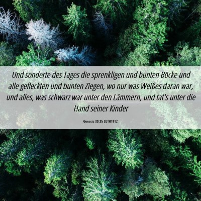 Picture 06 - Genesis 30:35 LUTH1912 - Und sonderte des Tages die sprenkligen und bunten - Bible Verse Picture