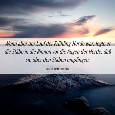 Picture 06 - Genesis 30:41 LUTH1912 - Wenn aber der Lauf der Frühling-Herde war, legte - Bible Verse Picture