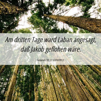 Picture 06 - Genesis 31:22 LUTH1912 - Am dritten Tage ward Laban angesagt, daß Jakob - Bible Verse Picture