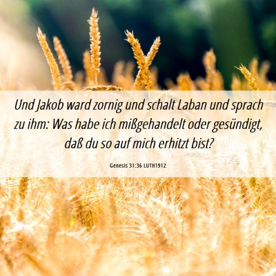 Picture 06 - Genesis 31:36 LUTH1912 - Und Jakob ward zornig und schalt Laban und sprach - Bible Verse Picture
