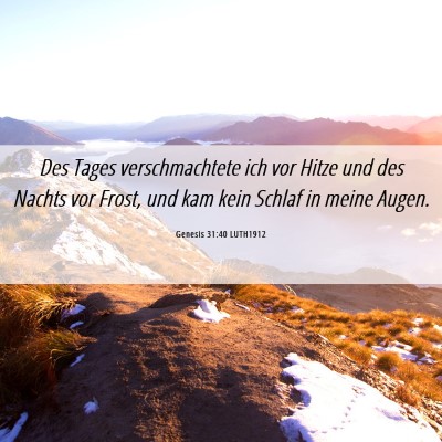 Picture 06 - Genesis 31:40 LUTH1912 - Des Tages verschmachtete ich vor Hitze und des - Bible Verse Picture
