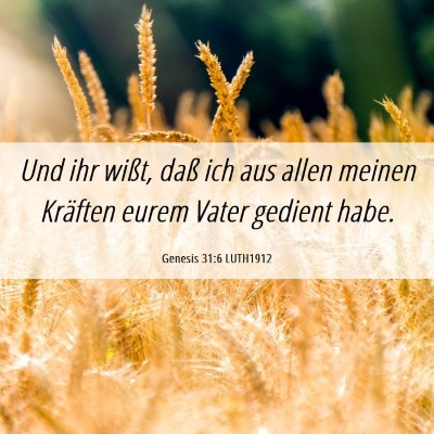 Picture 06 - Genesis 31:6 LUTH1912 - Und ihr wißt, daß ich aus allen meinen Kräften - Bible Verse Picture