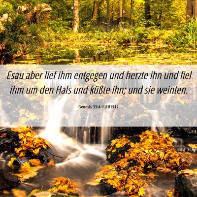 Picture 06 - Genesis 33:4 LUTH1912 - Esau aber lief ihm entgegen und herzte ihn und - Bible Verse Picture