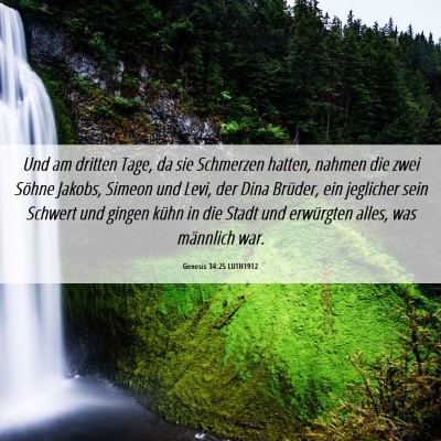 Picture 06 - Genesis 34:25 LUTH1912 - Und am dritten Tage, da sie Schmerzen hatten, - Bible Verse Picture