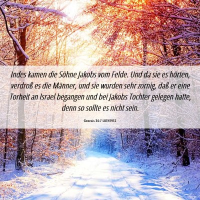Picture 06 - Genesis 34:7 LUTH1912 - Indes kamen die Söhne Jakobs vom Felde. Und da - Bible Verse Picture