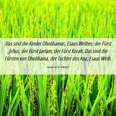 Picture 06 - Genesis 36:18 LUTH1912 - Das sind die Kinder Oholibamas, Esaus Weibes: der - Bible Verse Picture