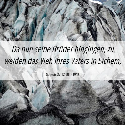 Picture 06 - Genesis 37:12 LUTH1912 - Da nun seine Brüder hingingen, zu weiden das - Bible Verse Picture