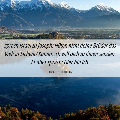 Picture 06 - Genesis 37:13 LUTH1912 - sprach Israel zu Joseph: Hüten nicht deine - Bible Verse Picture