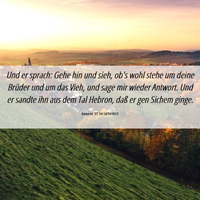 Picture 06 - Genesis 37:14 LUTH1912 - Und er sprach: Gehe hin und sieh, ob's wohl stehe - Bible Verse Picture