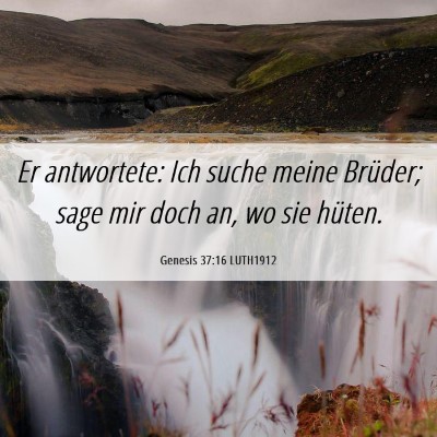 Picture 06 - Genesis 37:16 LUTH1912 - Er antwortete: Ich suche meine Brüder; sage mir - Bible Verse Picture