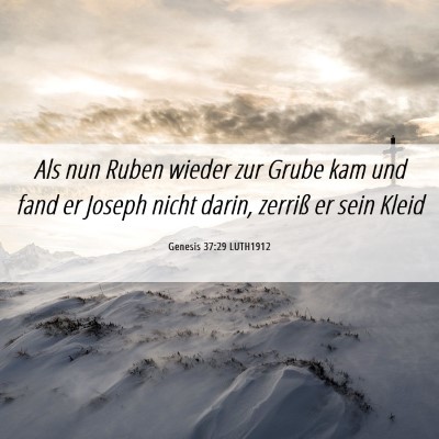 Picture 06 - Genesis 37:29 LUTH1912 - Als nun Ruben wieder zur Grube kam und fand er - Bible Verse Picture