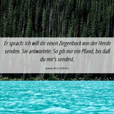 Picture 06 - Genesis 38:17 LUTH1912 - Er sprach: Ich will dir einen Ziegenbock von der - Bible Verse Picture
