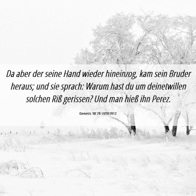 Picture 06 - Genesis 38:29 LUTH1912 - Da aber der seine Hand wieder hineinzog, kam sein - Bible Verse Picture