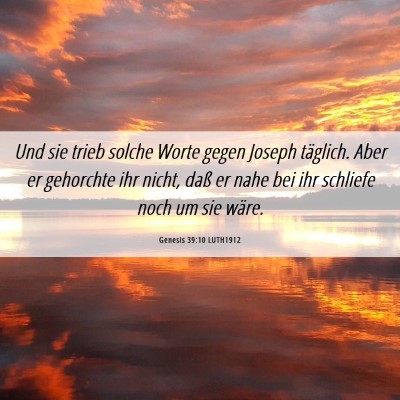 Picture 06 - Genesis 39:10 LUTH1912 - Und sie trieb solche Worte gegen Joseph täglich. - Bible Verse Picture