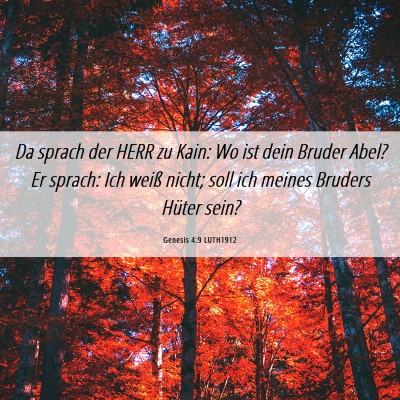 Picture 06 - Genesis 4:9 LUTH1912 - Da sprach der HERR zu Kain: Wo ist dein Bruder - Bible Verse Picture