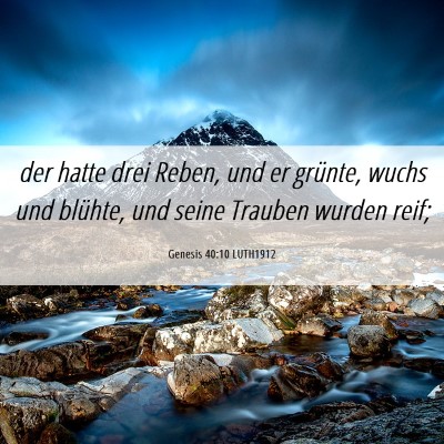Picture 06 - Genesis 40:10 LUTH1912 - der hatte drei Reben, und er grünte, wuchs und - Bible Verse Picture