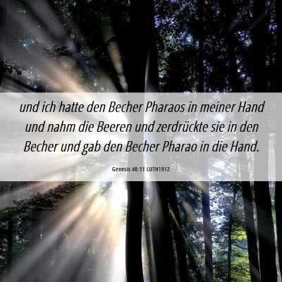 Picture 06 - Genesis 40:11 LUTH1912 - und ich hatte den Becher Pharaos in meiner Hand - Bible Verse Picture