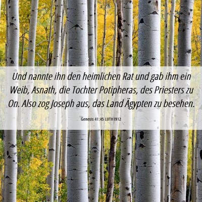Picture 06 - Genesis 41:45 LUTH1912 - Und nannte ihn den heimlichen Rat und gab ihm ein - Bible Verse Picture