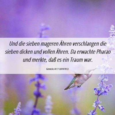Picture 06 - Genesis 41:7 LUTH1912 - Und die sieben mageren Ähren verschlangen die - Bible Verse Picture