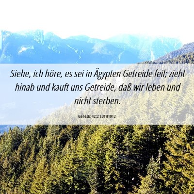 Picture 06 - Genesis 42:2 LUTH1912 - Siehe, ich höre, es sei in Ägypten Getreide - Bible Verse Picture