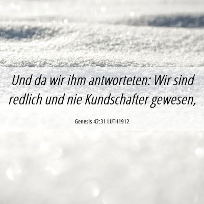 Picture 06 - Genesis 42:31 LUTH1912 - Und da wir ihm antworteten: Wir sind redlich und - Bible Verse Picture