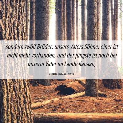 Picture 06 - Genesis 42:32 LUTH1912 - sondern zwölf Brüder, unsers Vaters Söhne, - Bible Verse Picture