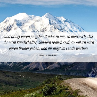 Picture 06 - Genesis 42:34 LUTH1912 - und bringt euren jüngsten Bruder zu mir, so - Bible Verse Picture