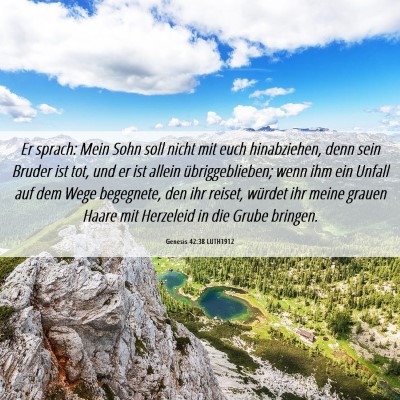 Picture 06 - Genesis 42:38 LUTH1912 - Er sprach: Mein Sohn soll nicht mit euch - Bible Verse Picture