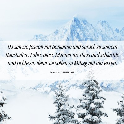 Picture 06 - Genesis 43:16 LUTH1912 - Da sah sie Joseph mit Benjamin und sprach zu - Bible Verse Picture
