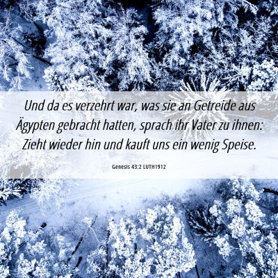 Picture 06 - Genesis 43:2 LUTH1912 - Und da es verzehrt war, was sie an Getreide aus - Bible Verse Picture