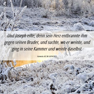 Picture 06 - Genesis 43:30 LUTH1912 - Und Joseph eilte, denn sein Herz entbrannte ihm - Bible Verse Picture