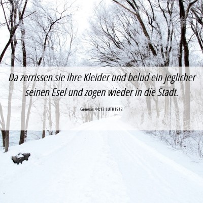 Picture 06 - Genesis 44:13 LUTH1912 - Da zerrissen sie ihre Kleider und belud ein - Bible Verse Picture