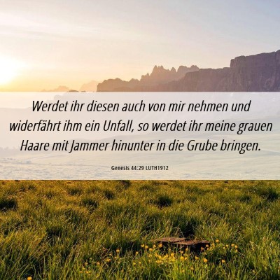 Picture 06 - Genesis 44:29 LUTH1912 - Werdet ihr diesen auch von mir nehmen und - Bible Verse Picture