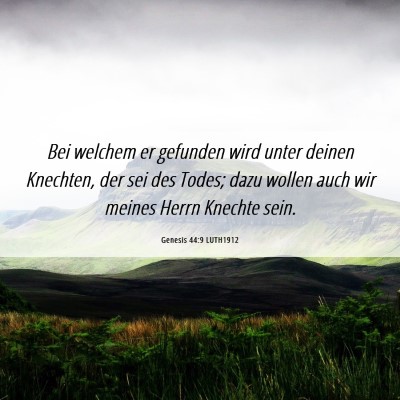 Picture 06 - Genesis 44:9 LUTH1912 - Bei welchem er gefunden wird unter deinen - Bible Verse Picture