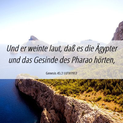 Picture 06 - Genesis 45:2 LUTH1912 - Und er weinte laut, daß es die Ägypter und das - Bible Verse Picture